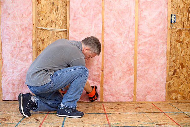 Best Radiant Barrier Insulation  in Goliad, TX